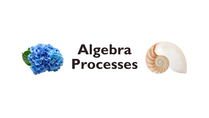 06 - Algebra Processes