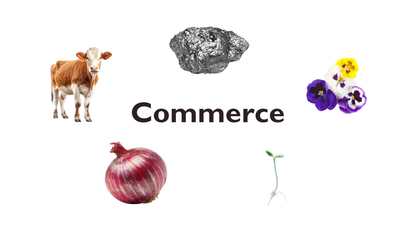 02 - Commerce