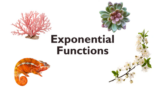 09 - Exponential Functions