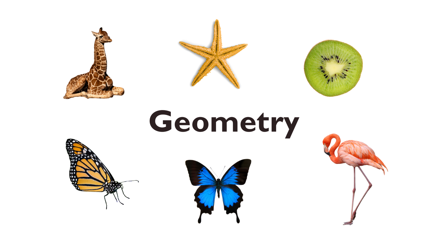 03 - Geometry