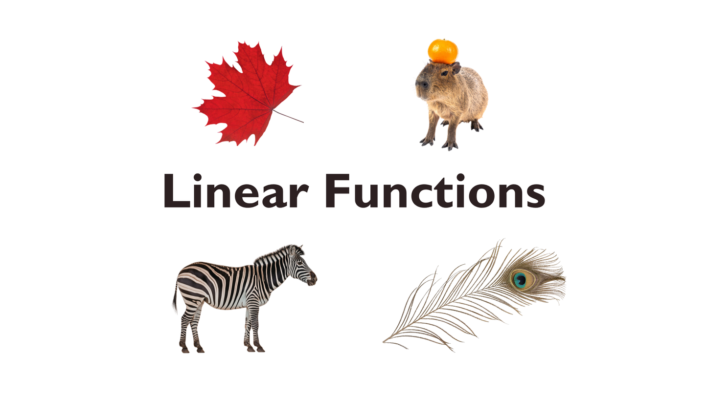 07 - Linear Functions
