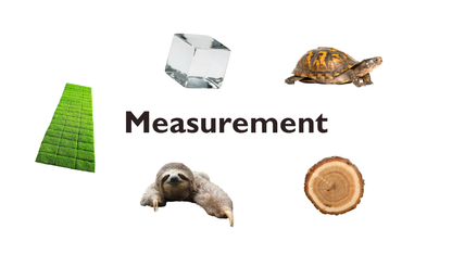 04 - Measurement