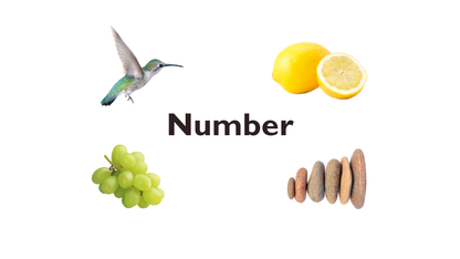 01 - Number