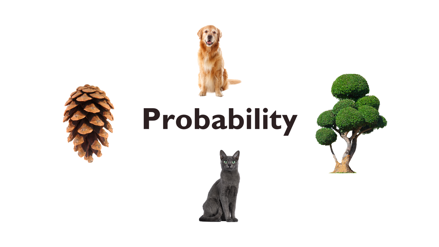 10 - Probability