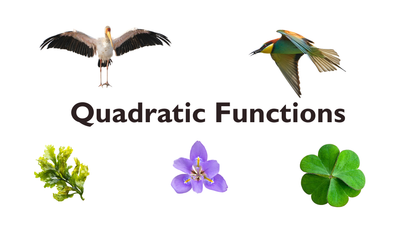08 - Quadratic functions
