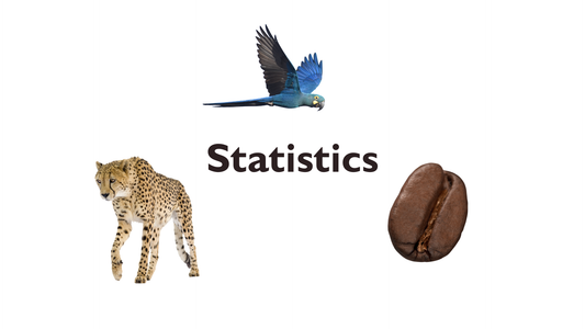 11 - Statistics