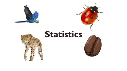 11 - Statistics