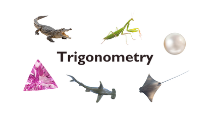 05 - Trigonometry